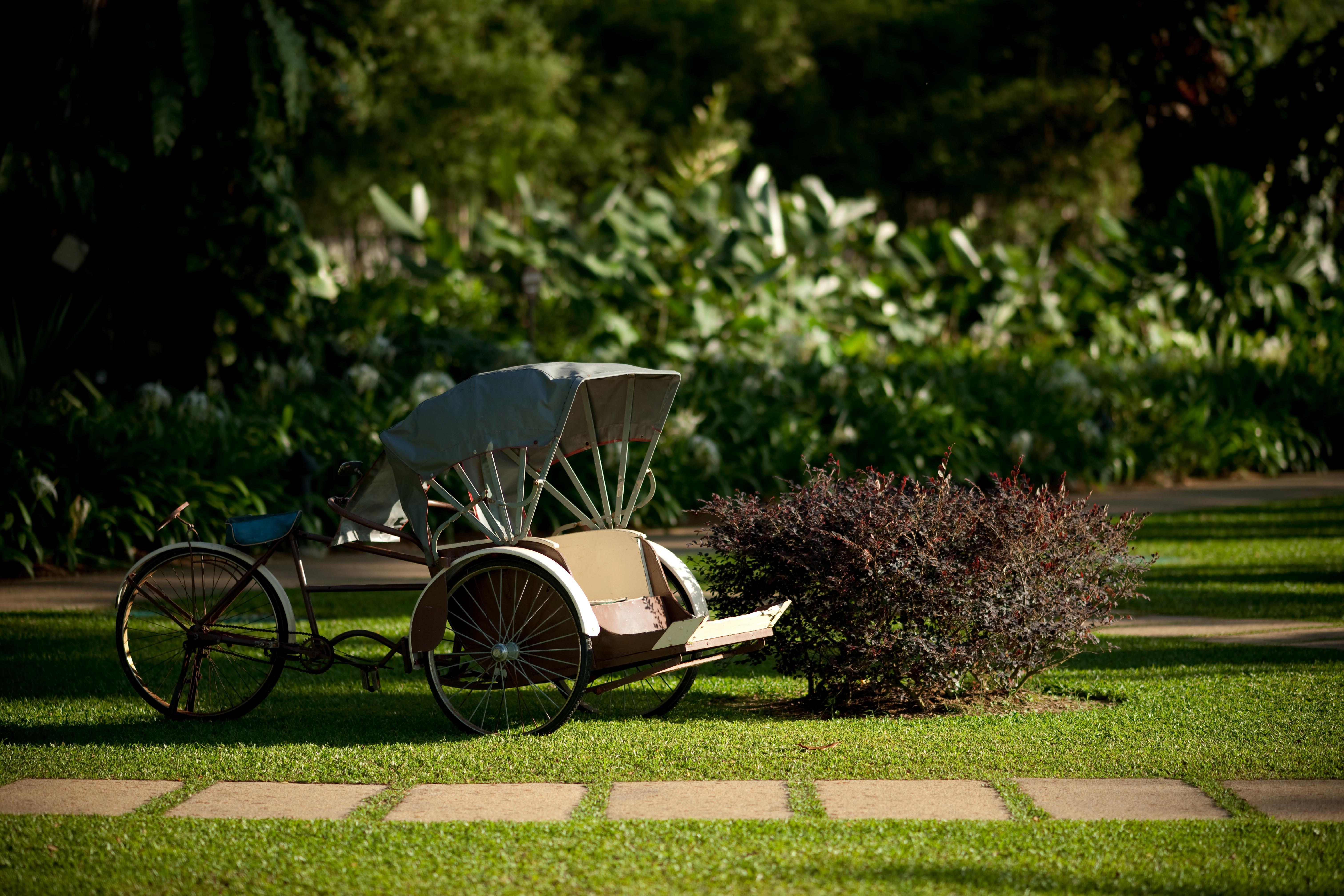 Shangri-La Rasa Sayang, Penang Бату Феринги Екстериор снимка Rickshaw in the gardens